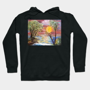 Light Play Hoodie